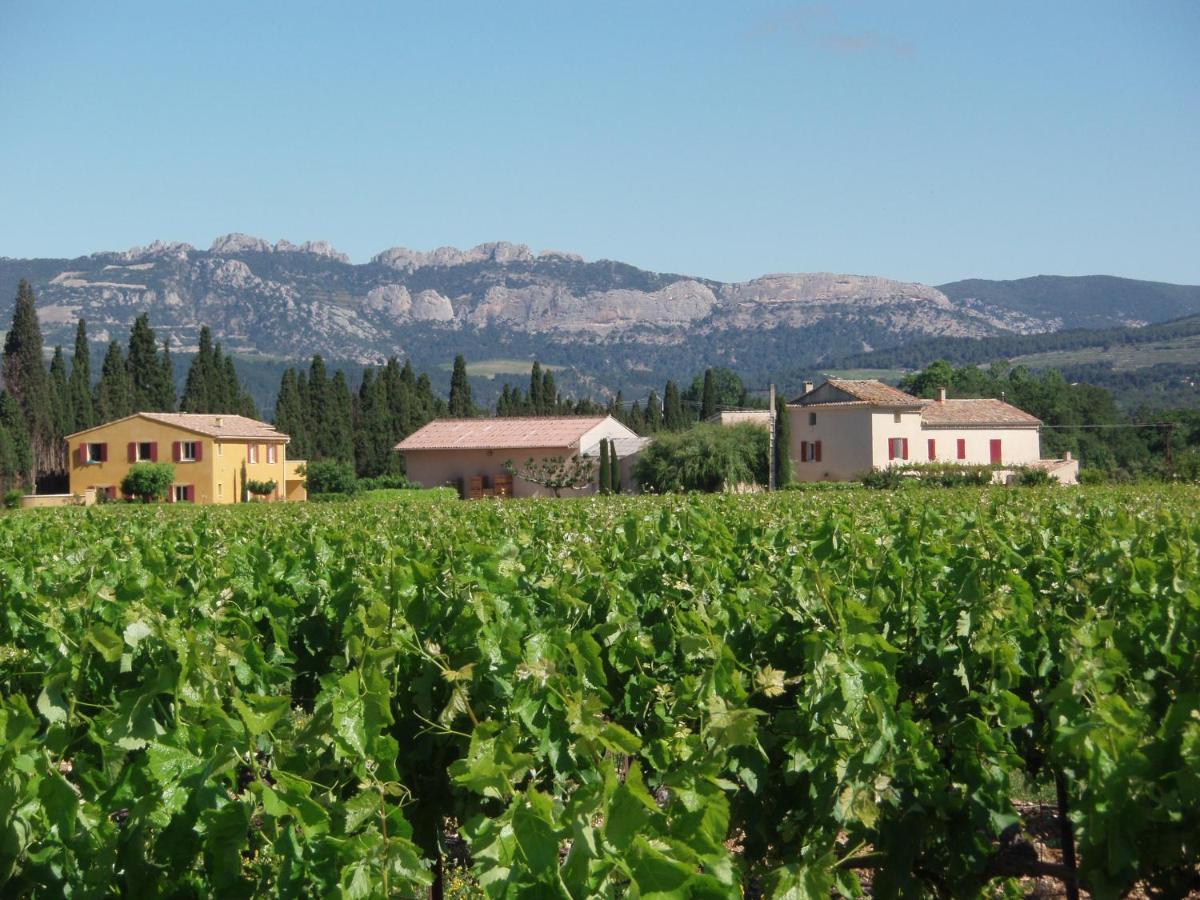 Gite Les Vignes Carpentras Exterior photo